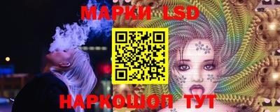 гашик Донской