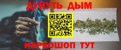 СК Дубна