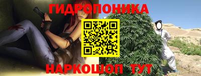 СК Дубна