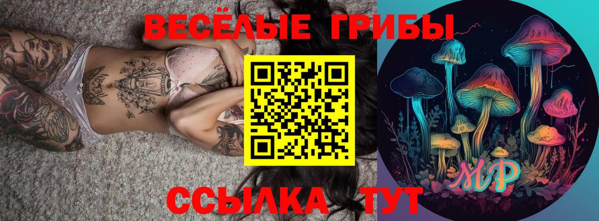 дарнет шоп  Вход с VPN  Новоалександровск  Галлюциногенные грибы ЛСД 